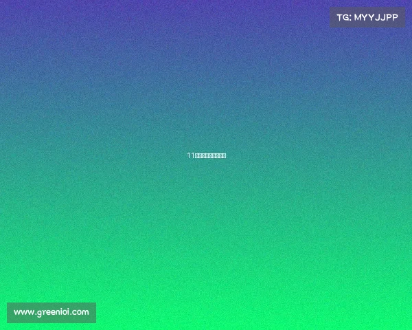 11点赛事赛事直播时间